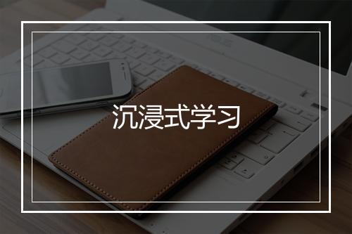 沉浸式学习