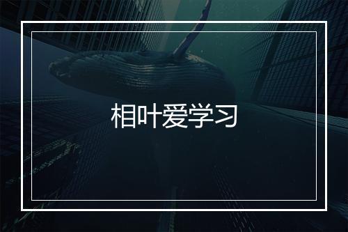 相叶爱学习