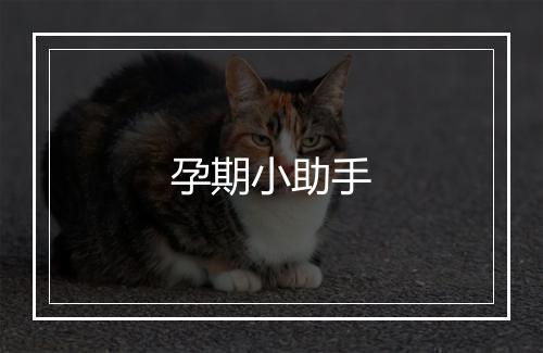 孕期小助手