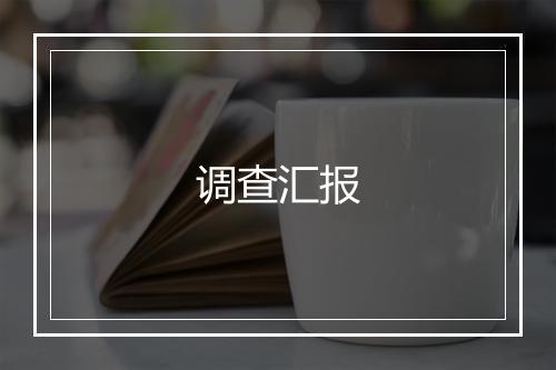 调查汇报