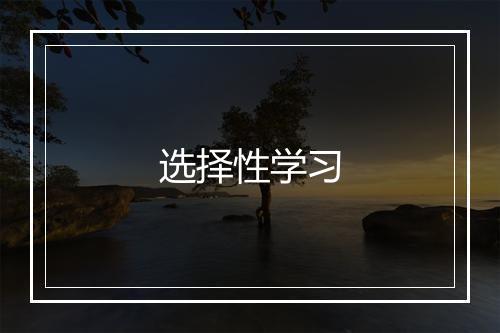 选择性学习