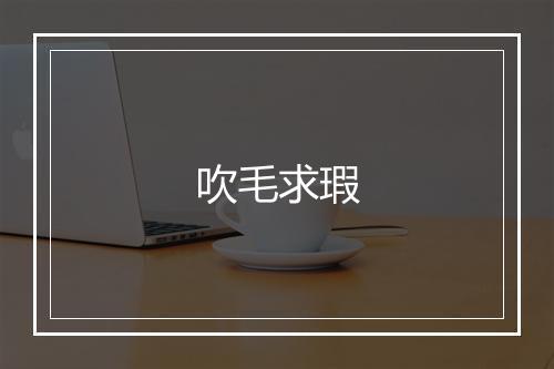 吹毛求瑕