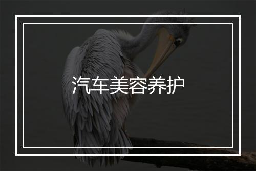 汽车美容养护