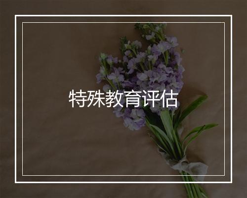 特殊教育评估