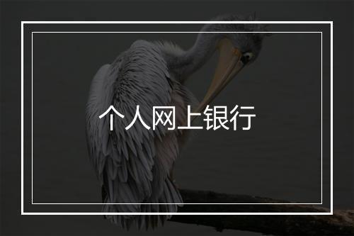 个人网上银行