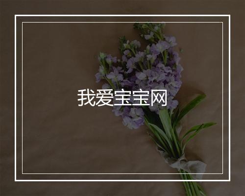 我爱宝宝网