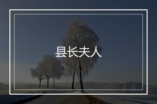 县长夫人