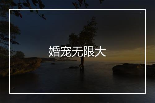 婚宠无限大