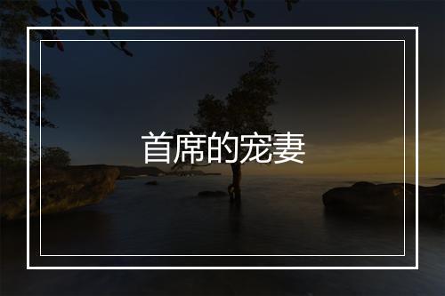 首席的宠妻