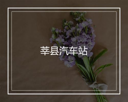 莘县汽车站