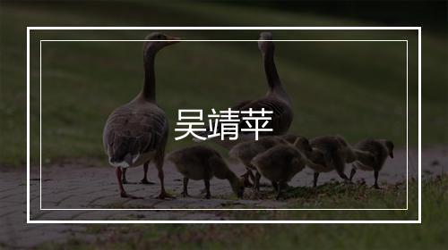 吴靖苹