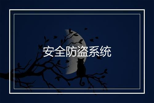 安全防盗系统