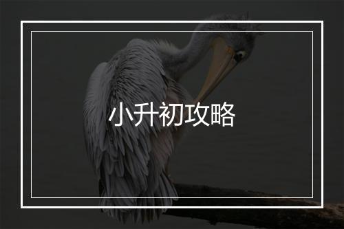 小升初攻略