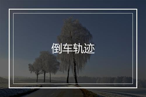 倒车轨迹