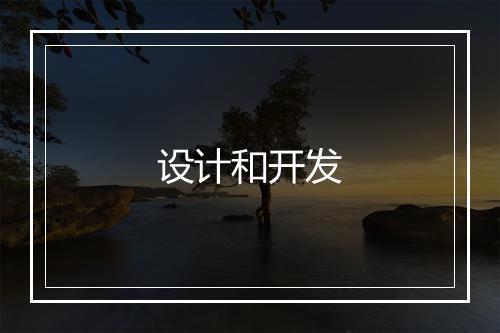 设计和开发