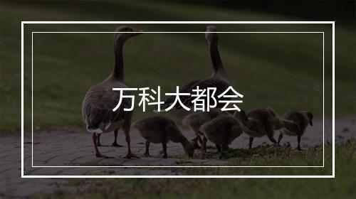 万科大都会