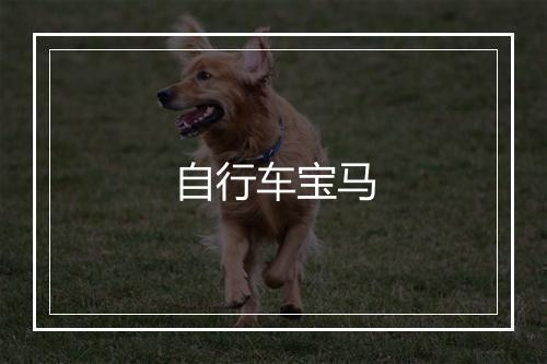 自行车宝马