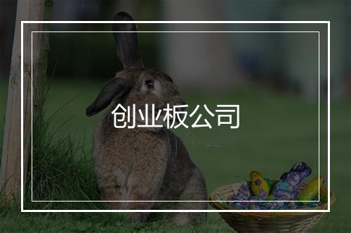 创业板公司