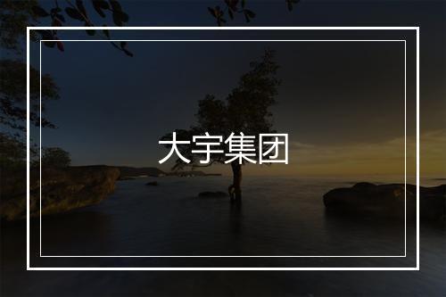 大宇集团