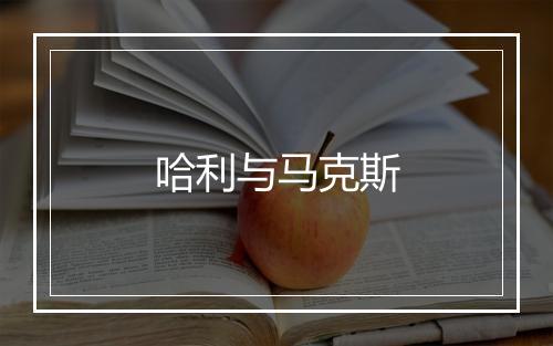 哈利与马克斯