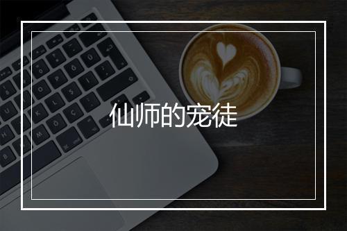 仙师的宠徒