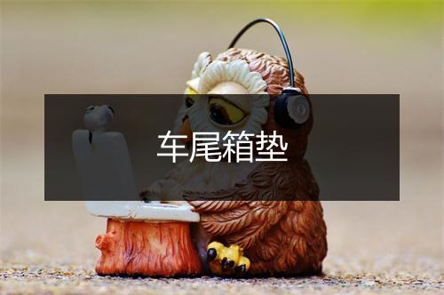 车尾箱垫