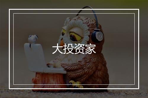 大投资家