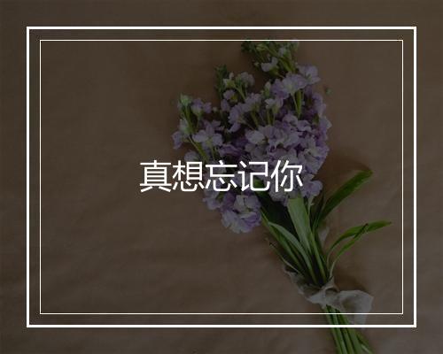 真想忘记你