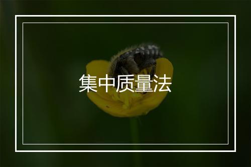 集中质量法