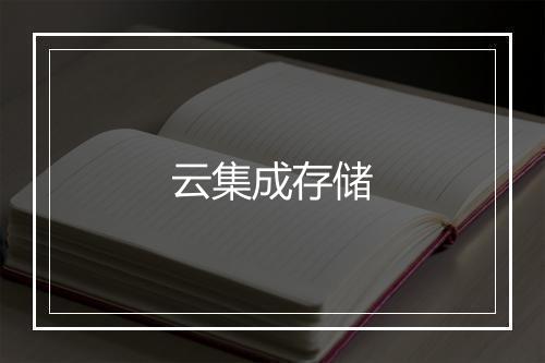 云集成存储