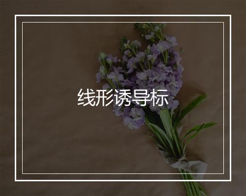 线形诱导标