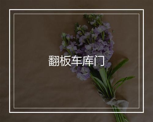 翻板车库门