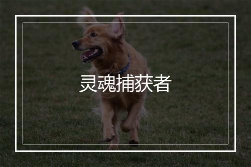 灵魂捕获者