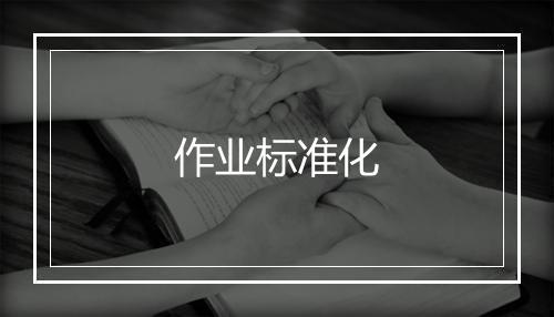 作业标准化