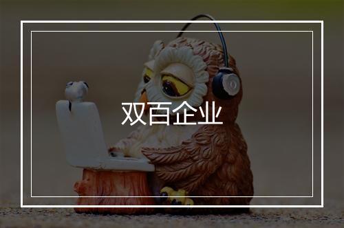 双百企业