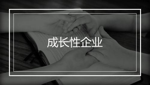 成长性企业