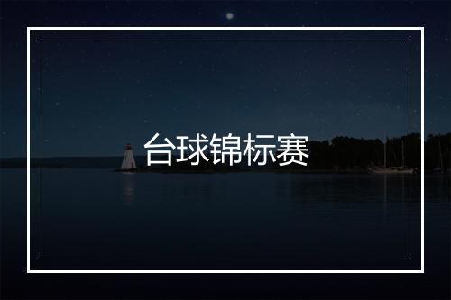 台球锦标赛