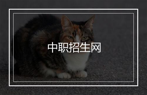 中职招生网