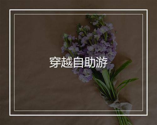 穿越自助游