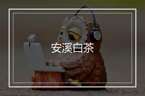 安溪白茶