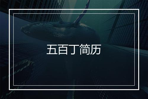 五百丁简历