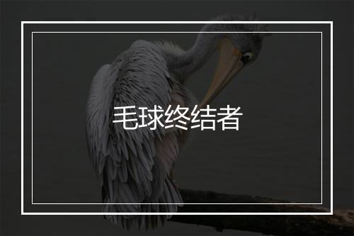 毛球终结者