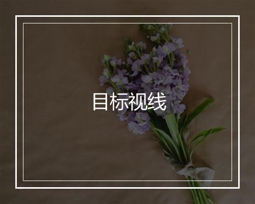 目标视线