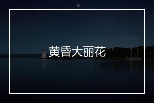 黄昏大丽花