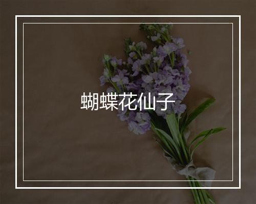 蝴蝶花仙子