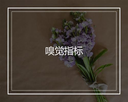 嗅觉指标