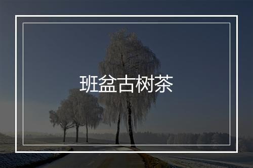 班盆古树茶