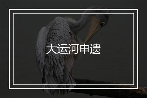 大运河申遗