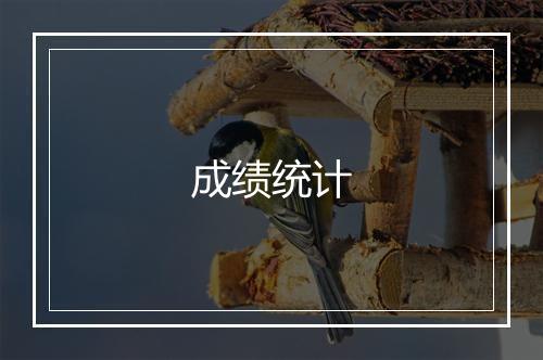 成绩统计