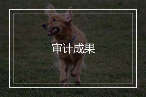 审计成果